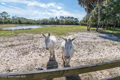5101 Craig Road, Cocoa, FL 32926 - Photo 17