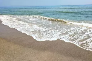 637 E Lincoln Ave, Melbourne, FL 32901 - Photo 41