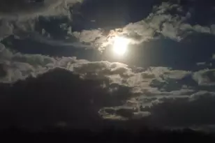 10152 S Ocean Dr, Jensen Beach, FL 34957 - Photo 41