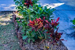 177 Woodland Dr, Melbourne, FL 32904 - Photo 27