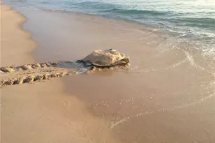 9255 Hwy A1A, Melbourne Beach, FL 32951 - Photo 31