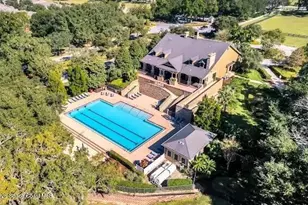 21608 Sullivan Ranch Blvd, Mount Dora, FL 32757 - Photo 3