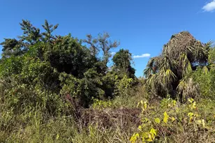 1810 38th Pl, Vero Beach, FL 32960 - Photo 1