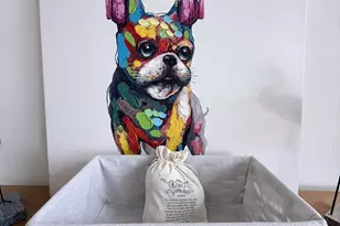 1440 Parkway Dr, Melbourne, FL 32935 - Photo 7