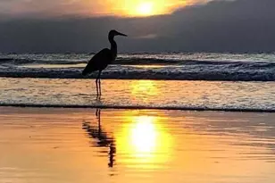 807 Mystic Dr, Cape Canaveral, FL 32920 - Photo 61