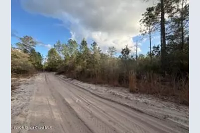 880 Still Road, Pierson, FL 32180 - Photo 5