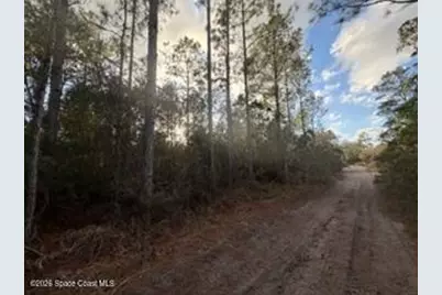 880 Still Road, Pierson, FL 32180 - Photo 7