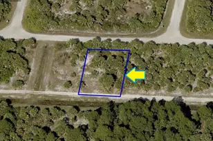 854 Wren Street SW, Palm Bay, FL 32908 - Photo 1