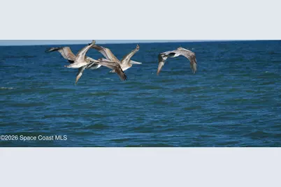 2880 S Atlantic Avenue #202, Cocoa Beach, FL 32931 - Photo 31