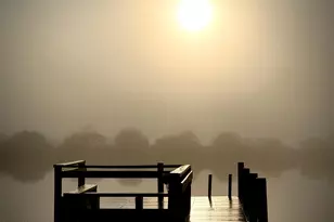 355 Lake View Ln, Palm Bay, FL 32909 - Photo 7