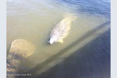 3681 Sawgrass Drive, Titusville, FL 32780 - Photo 67