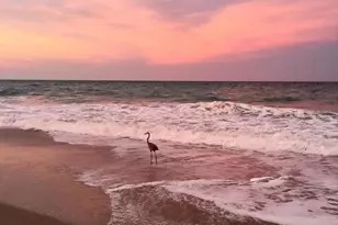 6710 Hwy A1A, Melbourne Beach, FL 32951 - Photo 65