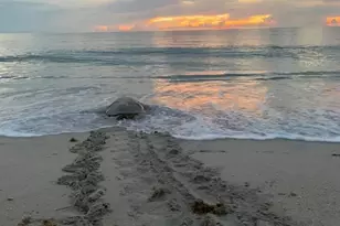 6710 Hwy A1A, Melbourne Beach, FL 32951 - Photo 71