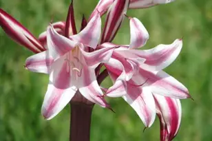 6710 Hwy A1A, Melbourne Beach, FL 32951 - Photo 67