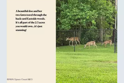 3420 Fox Wood Drive, Titusville, FL 32780 - Photo 35