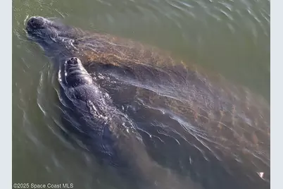 190 Escambia Lane #402, Cocoa Beach, FL 32931 - Photo 33