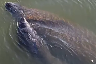 190 Escambia Ln, Cocoa Beach, FL 32931 - Photo 33