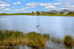 6615 Pacheco Ln, Melbourne, FL 32940 - Photo 41