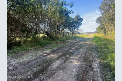 0000 Flounder Creek Road, Mims, FL 32754 - Photo 9