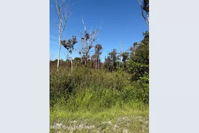 Xxx Unknown, Malabar, FL 32950 - Photo 9