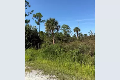 Xxx Unknown, Malabar, FL 32950 - Photo 15