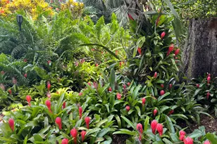 490 Carol Dr NE, Palm Bay, FL 32907 - Photo 39