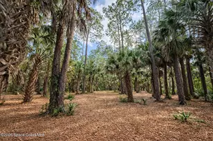 3975 Corey Rd, Malabar, FL 32950 - Photo 51