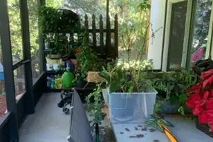 450 Hazel St, Sebastian, FL 32958 - Photo 11