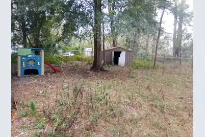 44721 Forest View Road, Deland, FL 32720 - Photo 3