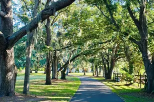 3334 N Tropical Trail, Merritt Island, FL 32953 - Photo 3