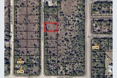 3159 Papaya Avenue SW, Palm Bay, FL 32908 - Photo 1