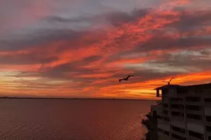 4955 Dixie Hwy NE, Palm Bay, FL 32905 - Photo 53