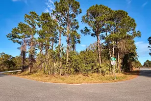 3135 Halcomb Ave SE, Palm Bay, FL 32909 - Photo 1