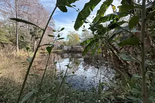 4590 Hog Valley Rd, Mims, FL 32754 - Photo 25