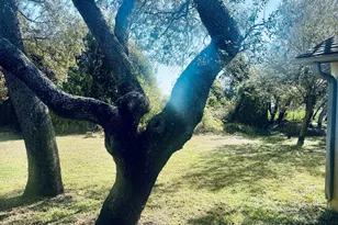 4795 Riverside Rd, Palm Beach Shores, FL 32940 - Photo 33