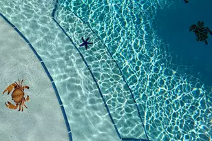 282 Heritage St SW, Palm Bay, FL 32908 - Photo 29