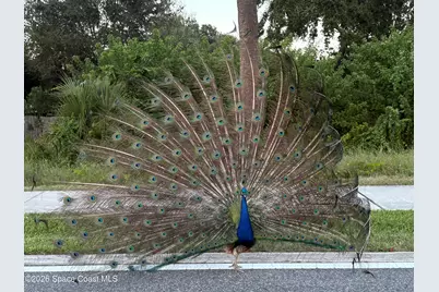 150 Portside Avenue #202, Cape Canaveral, FL 32920 - Photo 33