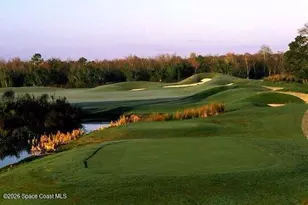 4126 Fitzroy Reef Dr, Mims, FL 32754 - Photo 57