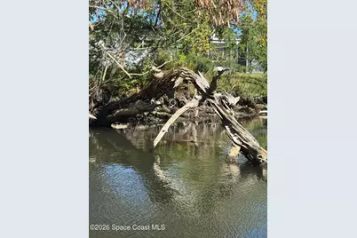 540 Elliott Drive, Merritt Island, FL 32952 - Photo 15