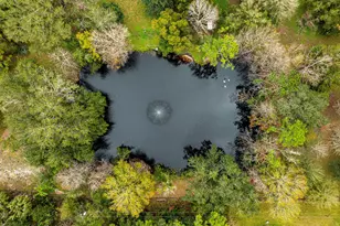 5000 Gandy Rd, Mims, FL 32754 - Photo 105