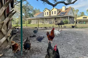 5000 Gandy Rd, Mims, FL 32754 - Photo 9