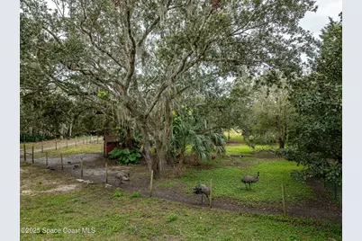 5000 Gandy Road, Mims, FL 32754 - Photo 125