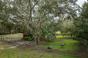 5000 Gandy Rd, Mims, FL 32754 - Photo 125