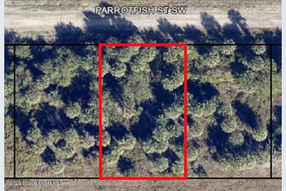 756 Parrotfish Street SW, Palm Bay, FL 32908 - Photo 1