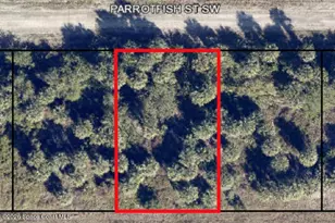 756 Parrotfish Street SW, Palm Bay, FL 32908 - Photo 1