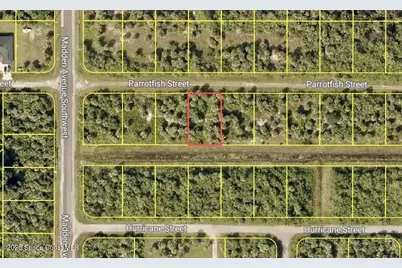 756 Parrotfish Street SW, Palm Bay, FL 32908 - Photo 3