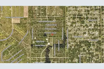 756 Parrotfish Street SW, Palm Bay, FL 32908 - Photo 5