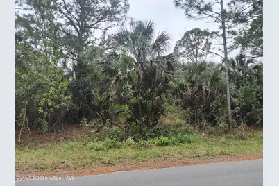 3395 SW Fitzpatrick Avenue SW, Palm Bay, FL 32908 - Photo 7