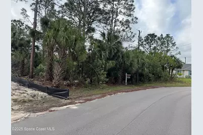3395 SW Fitzpatrick Avenue SW, Palm Bay, FL 32908 - Photo 1