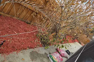 2639 Lowell Cir, Melbourne, FL 32935 - Photo 41